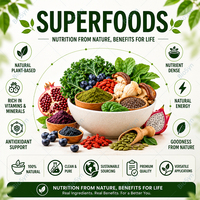 BioSyn Bulk&OEM Superaliments Poudre de fruit du dragon Extrait de fruit du dragon Anthocyanes