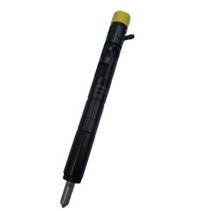 <span class=keywords><strong>Injecteur</strong></span> de carburant à rampe commune EJBR05101D de haute qualité, vente en gros, pour Delphi RENAULT Euro <span class=keywords><strong>4</strong></span> <span class=keywords><strong>Clio</strong></span> 8200676774 - Product Image 4