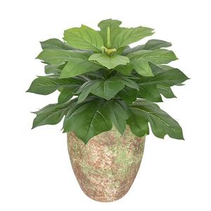 Nouveauté Arbre Baobab Artificiel Réaliste Branches <span class=keywords><strong>de</strong></span> Fleurs Artificielles pour la Décoration Paysagère - Product Image 1