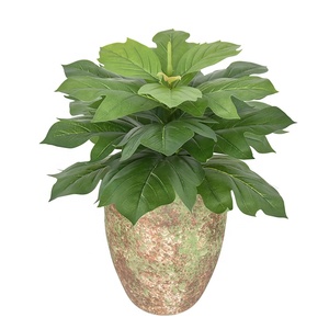 Mini Alberi Finti Baobab In PVC, Modello In Miniatura Per Casa Delle Bambole E Diorami, Verde - 2