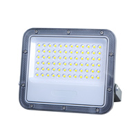 KCD-Projecteur étanche 110V, 220V, projecteur mural d'extérieur, 50W, projecteur LED