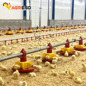 Poultry Feed Manufacturing Machine Feeding Pans And Breeders Automatic Poultry Farming System For Chickens