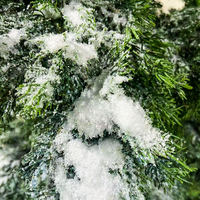Arbre de cèdre de pin artificiel d'aspect naturel élevé pour les murs verts des hôtels de bureau Pin de bienvenue artificiel