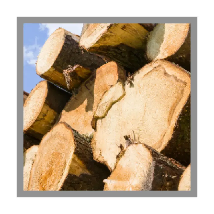 Teak wood Hot Wholesale Custom 100% raw Pine Wood Logs Best Price High Quality round logs for sale Vietnam Product