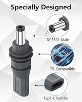 Adaptor Pengisi Daya Starlink Mini USB Type C Female ke DC 100W PD DC ke DC Tahan Air Starlink Mini