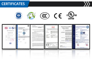 Biến tần năng lượng mặt trời vi mô nối lưới WVC-2800 Trung Quốc bán buôn 2800W 3000W 3000Watt 3Kv 3Kva 3 Kw 3Kw tích hợp MPPT - Product Image 6