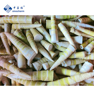 Sinocharm - <span class=keywords><strong>Brotes</strong></span> <span class=keywords><strong>de</strong></span> <span class=keywords><strong>Bambú</strong></span> Frescos Congelados IQF, Nueva Cosecha - Product Image 3