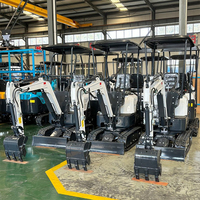 Mini-excavatrice compacte 1,2 tonne avec marteau, certifiée CE/EPA/Euro 5, livraison gratuite, vente en gros Chine, prix compétitifs