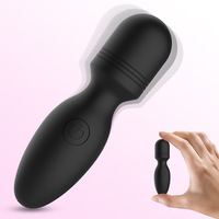 OEM/ODM Mini Persönliches Erwachsenen-Spielzeug AV-Stick Vibrator für Frauen Taschen-AV-Stab Massagegerät Sexspielzeug für Frauen Vagina-Stimulation