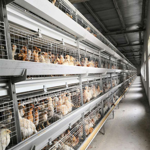 Design moderne Batterie automatique Cage pour poussins de bébé d'un <span class=keywords><strong>jour</strong></span> Cage multifonctionnelle pour poussins nouvelle condition Cage pour poules pondeuses en vente - Product Image 5