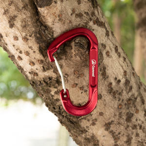 Mosquetón de escalada de aluminio <span class=keywords><strong>en</strong></span> forma de <span class=keywords><strong>D</strong></span> Camnal de 60mm, nuevo estilo con logotipo personalizado, gancho pequeño, mosquetones a presión - Product Image 3