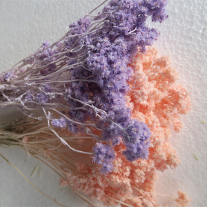 Flores artificiales preservadas, decoración para el hogar, boda, <span class=keywords><strong>Edelweiss</strong></span>, crisantemo - Product Image 1