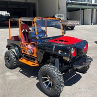 Mini buggy tout-terrain 300cc de qualité supérieure, quad sport automatique, mini jeep de course à essence, mini jeep carburant