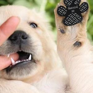 Dogs Anti slip Traction Pads <b>Sticker</b> Dog Paw <b>Stickers</b> Black Pink Blue Durable Waterproof Paw Protectors Pet Foot Patch - Product Image 3