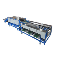 Fruit Vegetable Size Sorting Machine Fruit Sorting Machinery Potato Sorting and Grading Machine