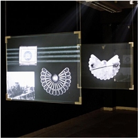 Matériaux organiques de projection holographique PET, film noir/gris/marron translucide, noir/gris/marron, livraison gratuite