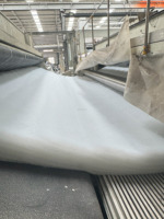 Tissu géotextile non tissé aiguilleté écologique résistant à la déchirure 200 g/m² PP anti-âge
