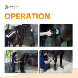 Appareil de thérapie par ondes de choc EMFOCUS VET <span class=keywords><strong>Eswt</strong></span> pour les ligaments suspensoriels du jarret et les problèmes dorsaux chez les patients équins - Product Image 4