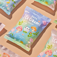 Sac d'emballage de collation de nourriture de crème glacée à la glace en plastique de Popsicle de vente chaude imprimée personnalisée sac d'emballage de crème glacée colorée de haute qualité
