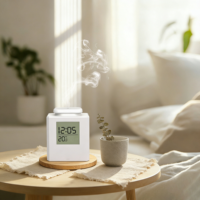 Diffuseur d'arômes électrique sans eau en métal de grande capacité 300 ml pour usage commercial et domestique, machine de parfumage CVC en gros