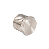 Bouchon hexagonal creux à filetage mâle forgé haute pression en acier inoxydable et acier au carbone, norme SAE/BSPT, pour applications industrielles gaz et huile