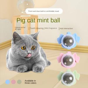 Producto para gatos, piruleta de hierba gatera, juguete masticable para limpiar los dientes, Bola de hierba gatera relajante, juguetes interactivos para gatos - Product Image 4
