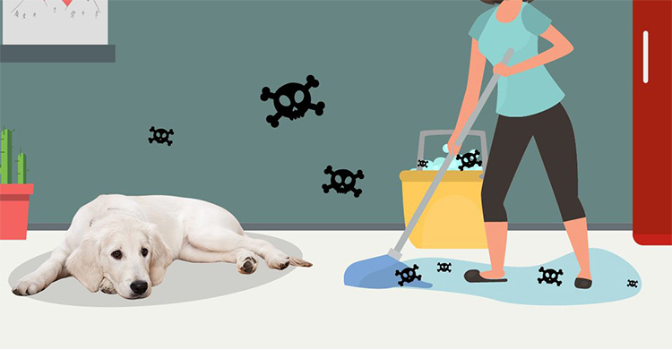 Empapadores súper absorbentes para mascotas, empapadores para perros cachorros, pañales para perros