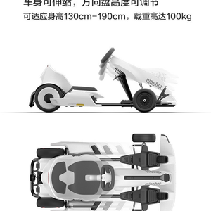 ชุดโกคาร์ท2 + สำหรับผู้ใหญ่รถสมดุลสีขาว MINIPRO2 MINIPRO2 MINIPRO2 - Product Image 5