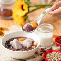 Cuillère à soupe en céramique personnalisée Cuillère à nouilles de riz Petite cuillère à soupe avec motif Mandala 1 pièce