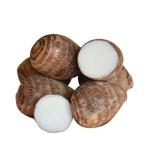 Taro frais légumes exportation alimentaire Taroes <span class=keywords><strong>Dasheen</strong></span> Chine vente en gros - Product Image 1