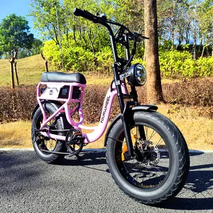 Tourwheel Gratis Verzending Mode Ebike Fabrikant Retro Power Bike Lange Afstand Goede Stad Berg Hybride Elektrische Fat Tire Fiets