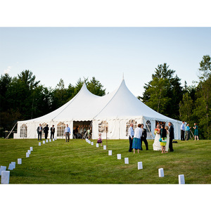 Al Aire Libre 10x10 20x40 resistente impermeable a prueba de viento carpa precios fiesta boda carpas para <span class=keywords><strong>200</strong></span> personas - Product Image 2