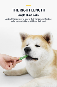 Nuevo juguete saludable para dentición de cachorro de perro con sabor a carne de pollo, limpieza de dientes no tóxica, cuidado Dental, golosinas para perros y juguete para masticar - Product Image 3