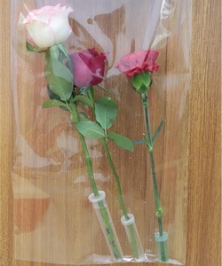 Tubos <span class=keywords><strong>de</strong></span> <span class=keywords><strong>agua</strong></span> florales para decoración <span class=keywords><strong>de</strong></span> flores, tubos <span class=keywords><strong>de</strong></span> <span class=keywords><strong>agua</strong></span> <span class=keywords><strong>de</strong></span> plástico <span class=keywords><strong>de</strong></span> 2,8 pulgadas con tapa para arreglo <span class=keywords><strong>de</strong></span> flores - Product Image 6