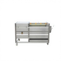 Industriële aardappel schilmachine, automatische fruit- en groenteschiller, borstelrolwasser voor verwerkingsbedrijven