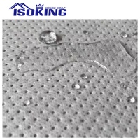 Membrane d'étanchéité ISOIKIN moderne en PE/EPTFE de 3 mm, certifiée ISO, pour toiture plate, isolation haute résistance pour murs et toitures