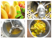 Fruitpulp-extractor, fruitpulp- en zaadseparatiemachine, mangopulp-machine, machine voor enkelvoudige kernverwijdering en -beating.
