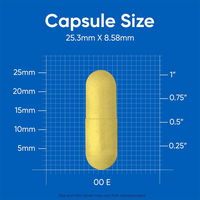 Extrait de berbérine de fabrication chinoise pour améliorer l'immunité - Capsules d'extraction végétale pure pour hommes, 60 pièces, compléments alimentaires