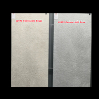 Finition mate Céramique résistante à la chaleur Antidérapant Aspect béton rustique 20mm Pierre Porcelaine Carrelage extérieur pour allée