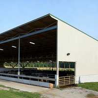 Bâtiment préfabriqué en acier à faible coût pour poulets, bétail et moutons, avec une bonne ventilation, installation rapide, abri pour élevage agricole