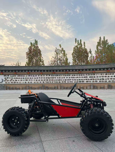 Steering Wheel Electric Racing Kart 48V 1800W for Children and Adults 8-Inch Tires 45km/h Long Range for Amusement Parks Kart