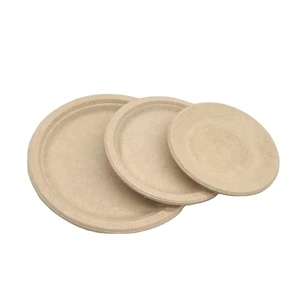 Assiettes jetables en bagasse de canne à sucre, imperméables et résistantes à l'huile, pour pique-nique et barbecue en extérieur - Product Image 1