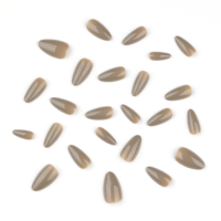 24 faux ongles à presser en gros, fournisseur en ligne, présentoir à ongles, carte de présentation des faux ongles, étiquette privée, ongles artificiels, jolis