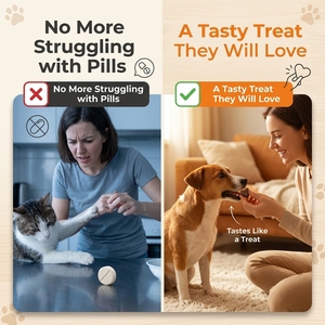 Prêt à expédier : Friandises calmantes pour chiens - L-Tryptophane, Valériane et L-Théanine pour le soutien <span class=keywords><strong>de</strong></span> l'anxiété chez les animaux <span class=keywords><strong>de</strong></span> compagnie. - Product Image 4