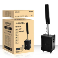 Enceinte colonne Bluetooth TTD-1510 pour extérieur, 15 pouces, double microphone, haute puissance, enceinte de scène professionnelle