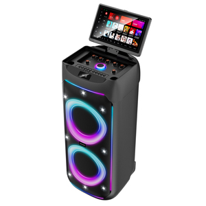 Potente Sistema Karaoke KTV Mobile con Trolley, 8'' 2-way, 2GB RAM/64GB ROM, Wi-Fi, Android 13.0, Schermo 11.6'', 120W - Product Image 3