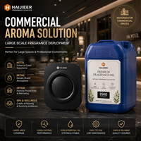Diffuseur d'huiles essentielles sans eau de 200 ml, double usage, sur table et mural, machine à parfum pour la maison, l'hôtel, le bureau, le spa