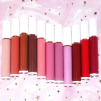 Ensemble de pigments, brillant à lèvres, vendeur, Gloss à lèvres, plusieurs couleurs Nude