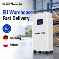 Batterie LiFePO4 Seplos Mason 51.2V 314Ah 16kWh pour stockage d'énergie domestique, stock UE, entrepôt Allemagne Pologne, livraison rapide, BMS 200A