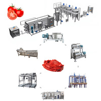 Heetverkopende, hoogproductieve industriële semi-automatische tomatenpulp productielijn van roestvrij staal